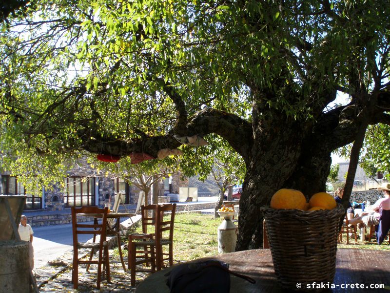 Photo report of a visit to Sfakia, Crete in October 2008